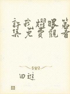 许我耀眼第27集免费观看全集