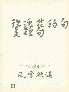 玫瑰花的句子唯美短句