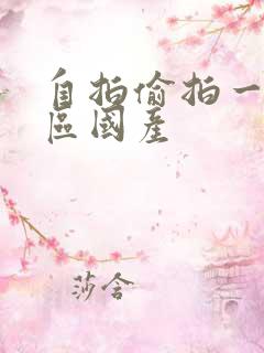 自拍偷拍一区二区国产