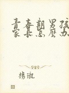 青春期男孩叛逆家长怎么办