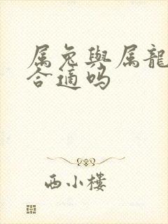 属兔与属龙婚配合适吗