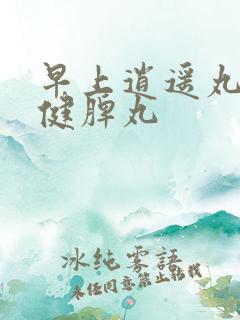 早上逍遥丸晚上健脾丸