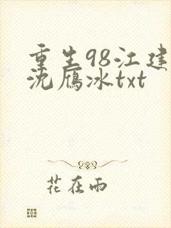 重生98江建忠沈雁冰txt