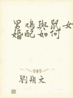 男鸡与鼠女属相婚配如何