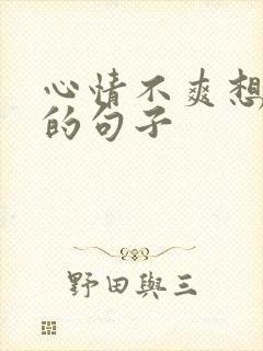 心情不爽想发泄的句子