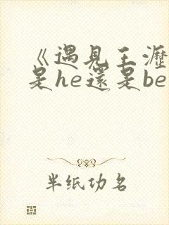 《遇见王沥川》是he还是be