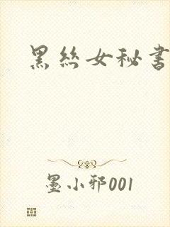 黑丝女秘书小说