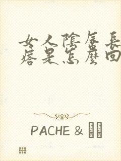 女人阴唇长疙疣瘩是怎么回事