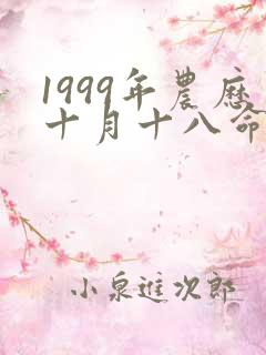1999年农历十月十八命运