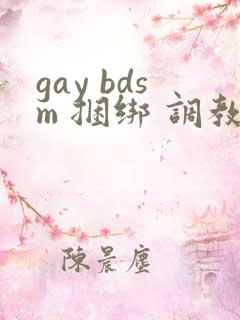 gay bdsm 捆绑 调教 男奴