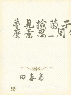 梦见捡菌子是什么意思_周公解梦