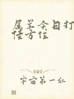 属羊今日打牌最佳方位