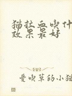 猫拉血吃什么药效果最好