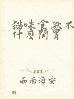 猫咪食欲不振吃什么开胃