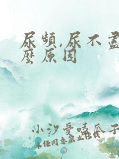 尿频,尿不尽什么原因