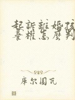 起诉离婚孩子抚养权怎么判决