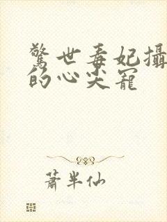 惊世毒妃摄政王的心尖宠