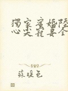 独家蜜婚陆少的心尖宠妻全文阅读