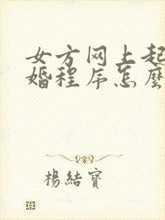 女方网上起诉离婚程序怎么走