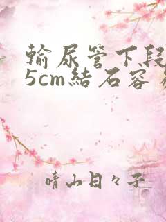 输尿管下段0.5cm结石容易排出吗