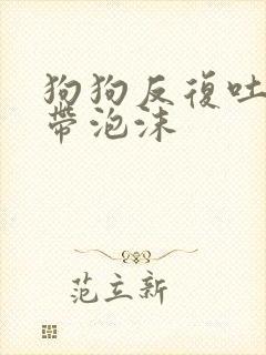 狗狗反复吐黄水带泡沫