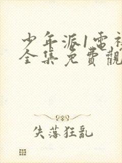 少年派1电视剧全集免费观看完整版360