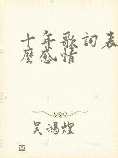 十年歌词表达什么感情