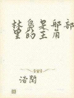 林枭是哪部小说里的主角