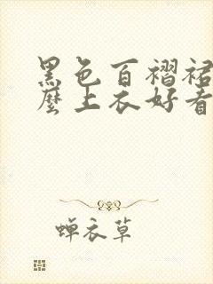 黑色百褶裙配什么上衣好看夏季