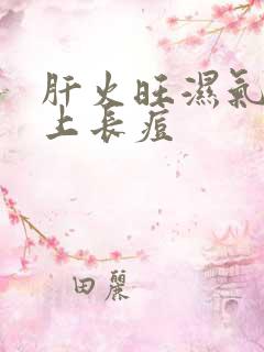 肝火旺湿气重脸上长痘