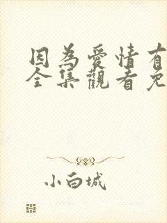 因为爱情有幸福全集观看免费