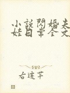 小说闪婚夫妻宠娃日常全文阅读