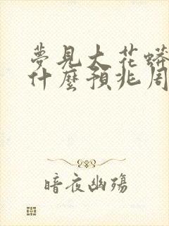 梦见大花蟒蛇是什么预兆周公解梦