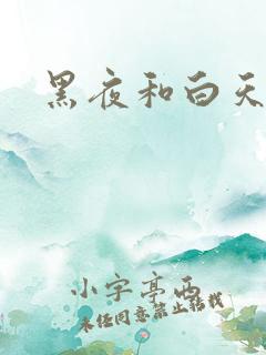 黑夜和白天歌词