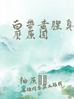 白带黄腥臭是什么原因