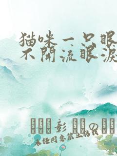 猫咪一只眼睛睁不开流眼泪怎么回事