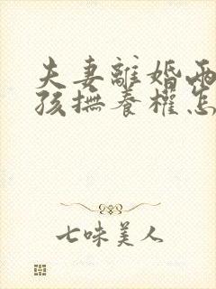 夫妻离婚两个小孩抚养权怎么判定