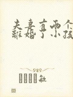 夫妻有两个小孩离婚了小孩归谁