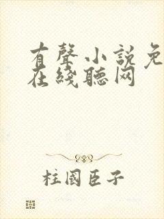 有声小说免费听在线听网