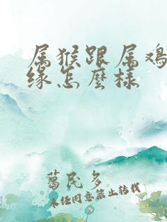 属猴跟属鸡的姻缘怎么样