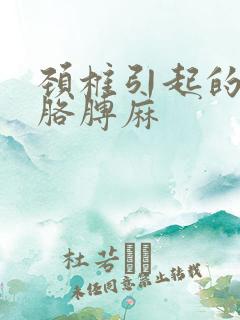 颈椎引起的手麻胳膊麻