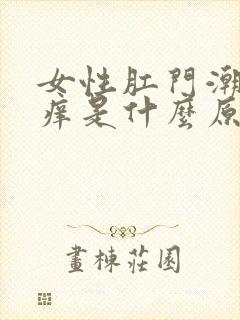 女性肛门潮湿瘙痒是什么原因