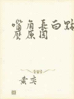 嘴角长白点是什么原因