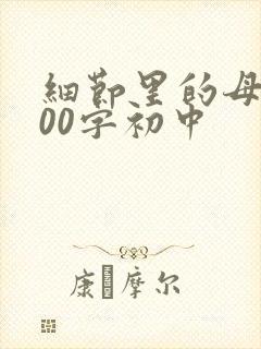 细节里的母爱600字初中