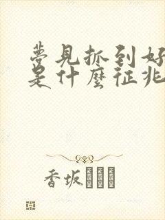 梦见抓到好多鱼是什么征兆周公解梦