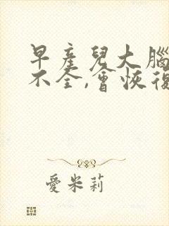 早产儿大脑发育不全,会恢复发育吗?