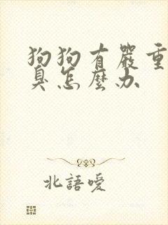 狗狗有严重的口臭怎么办