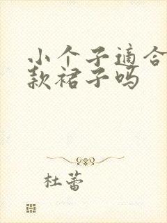 小个子适合穿长款裙子吗