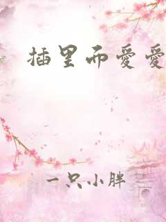 插里面爱爱视频