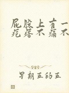 屁股上有一个硬疙瘩不痛不痒